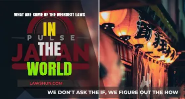 Bizarre Global Laws: Unbelievable Rules You Won't Believe Exist