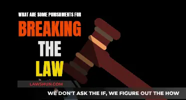 Punishments for Lawbreakers: Exploring Legal Consequences