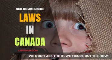 Strange Canadian Laws: Odd Rules You Need to Know