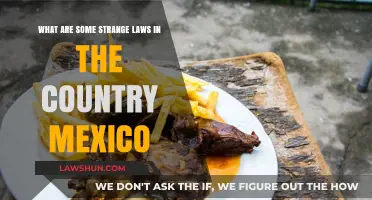 Unusual Mexican Laws: Exploring the Quirky Side of Mexico's Legal System