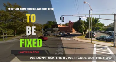 Outdated Traffic Laws: Urgent Reforms Needed for Safer Roads