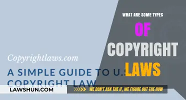 Understanding Copyright Laws: Exploring Key Types and Their Applications