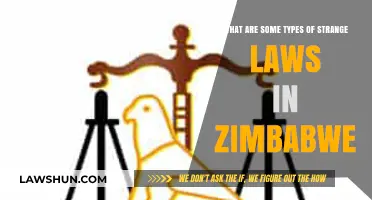 Unusual Zimbabwe Laws: Exploring the Country's Strange Legal Rules