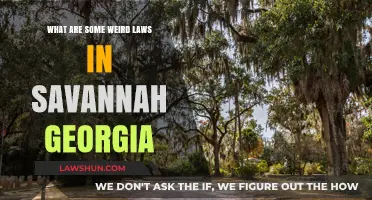 Savannah's Strange Statutes: Uncovering Georgia's Oddest Local Laws