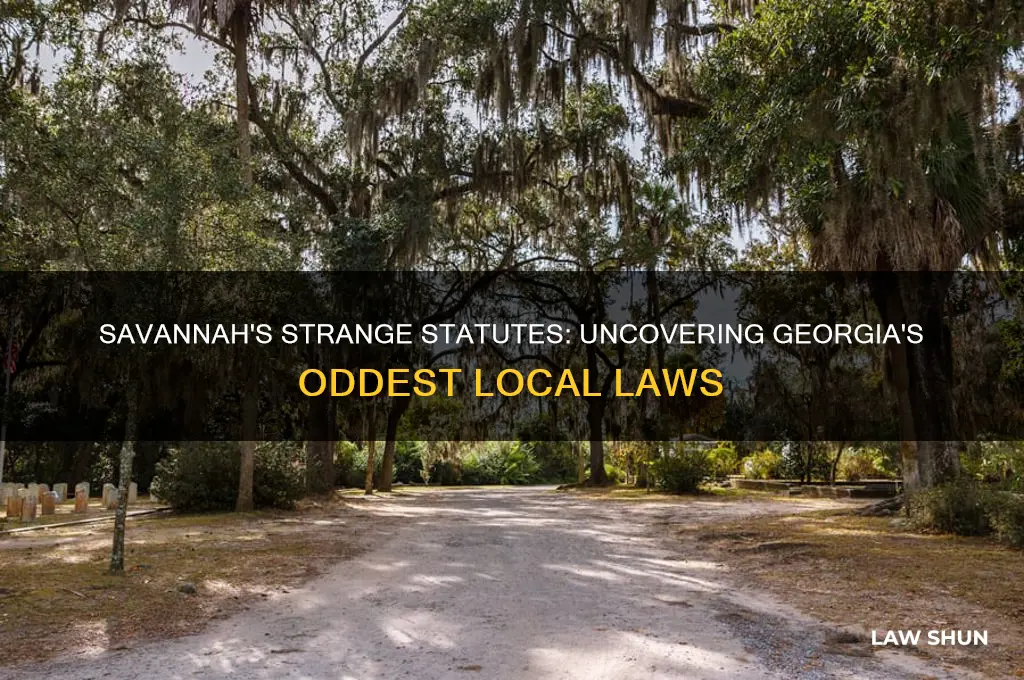 what are some weird laws in savannah georgia