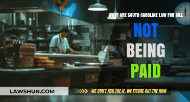 South Carolina Laws on Unpaid Bills: What You Need to Know