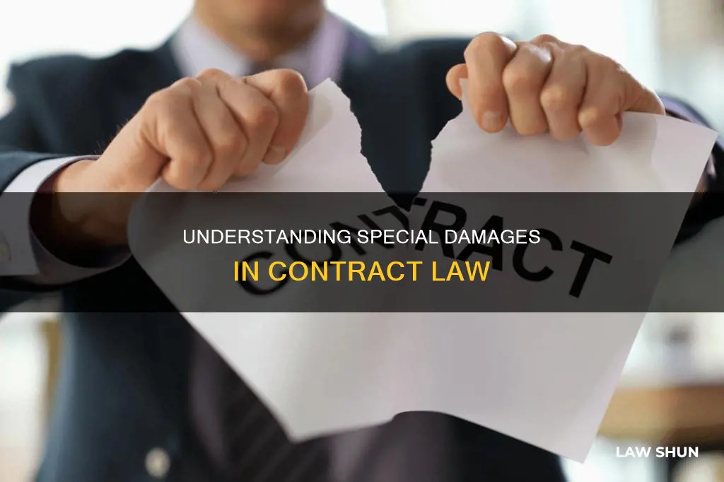 what are special damages in contract law