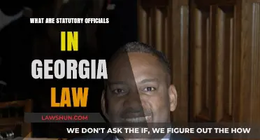 Understanding Statutory Officials in Georgia Law: Roles and Responsibilities