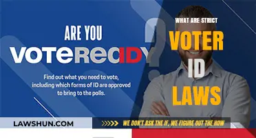 Understanding Strict Voter ID Laws: Impact, Controversy, and Democracy