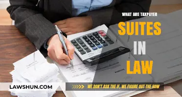 Understanding Taxpayer Suites: Legal Rights and Protections Explained
