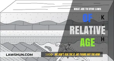 Understanding the Five Laws of Relative Age in Geology
