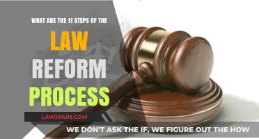 Understanding the Comprehensive Law Reform Process: 11 Essential Steps