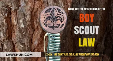 Understanding the Core Values: Exploring Boy Scout Law's 12 Sections