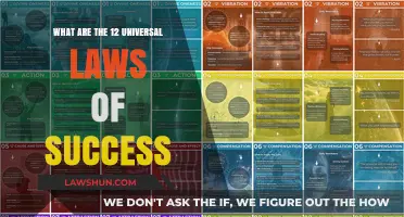 Success Secrets: 12 Universal Laws to Live By