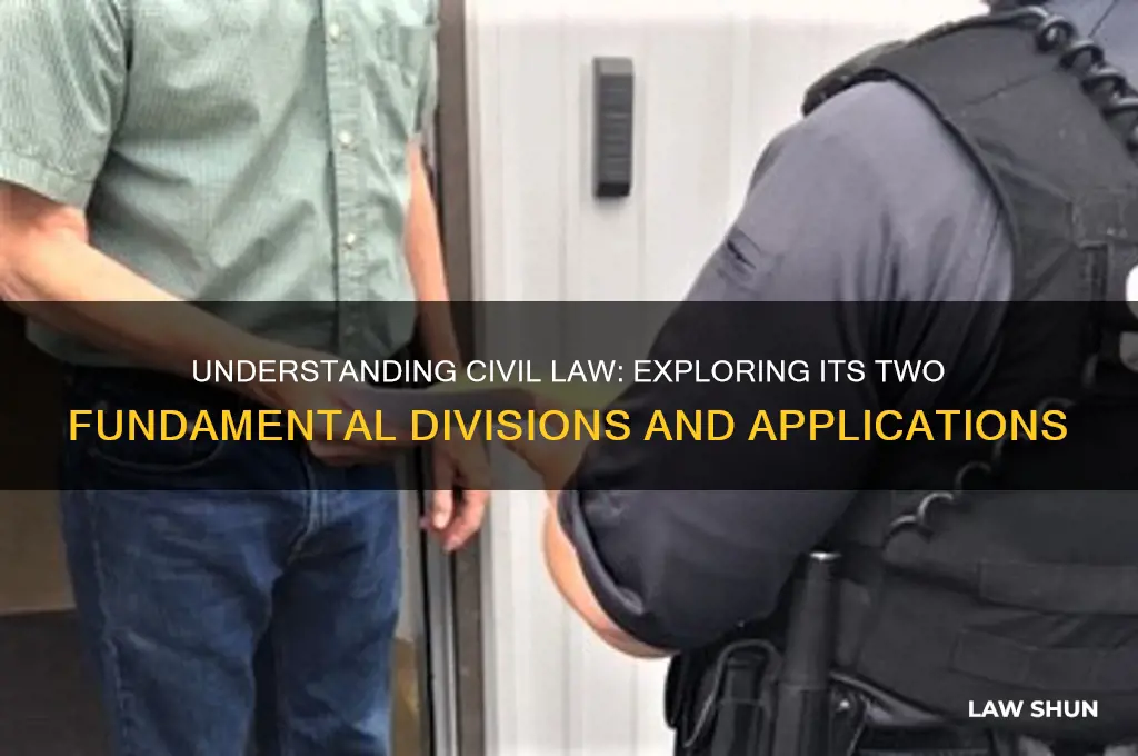 what are the 2 divisions of civil law