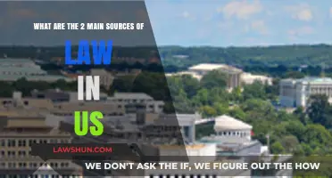 Understanding the Dual Foundations of U.S. Law: Key Sources Explained