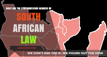 Understanding South African Law: Three Key Authoritative Sources Explained