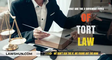 Tort Law: Understanding the Three Key Types