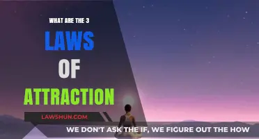 Unlocking the Power of Attraction: 3 Fundamental Laws Explained