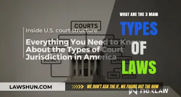 Understanding the Three Primary Categories of Legal Systems
