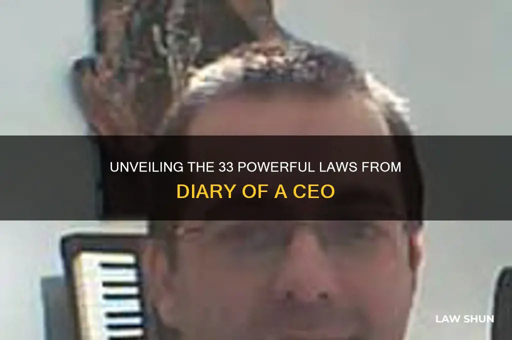 what are the 33 laws in diary of a ceo