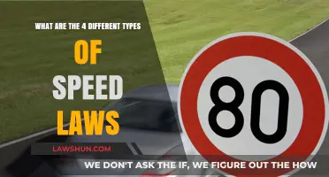 Speed Laws: Understanding the Four Distinct Types
