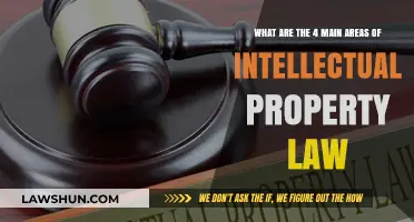 Exploring the Four Key Areas of Intellectual Property Law