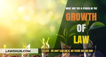 The Evolution of Law: Understanding Its Four Developmental Stages