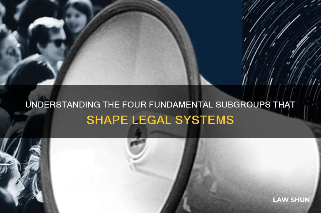 what are the 4 subgroups that laws are based on