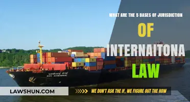 Understanding the Five Key Bases of International Law Jurisdiction