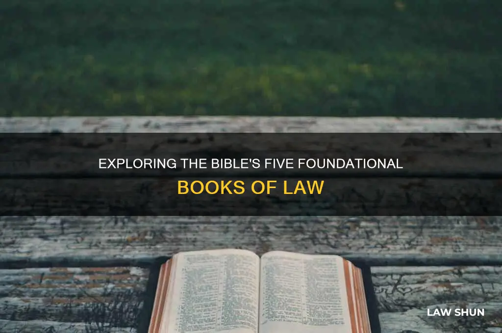 what are the 5 books of law in the bible