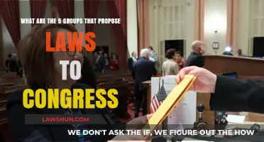 Key Groups Proposing Laws to Congress: A Comprehensive Overview