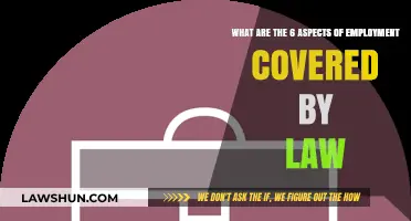 Understanding Legal Employment Aspects: 6 Key Areas Covered by Law
