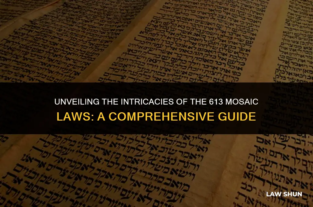 what are the 613 mosaic laws