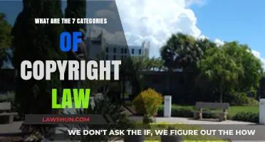 Understanding Copyright Law: Exploring the 7 Key Categories and Protections