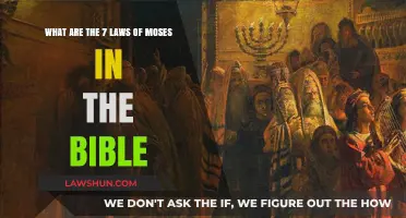 Understanding the Seven Biblical Laws of Moses: A Comprehensive Guide