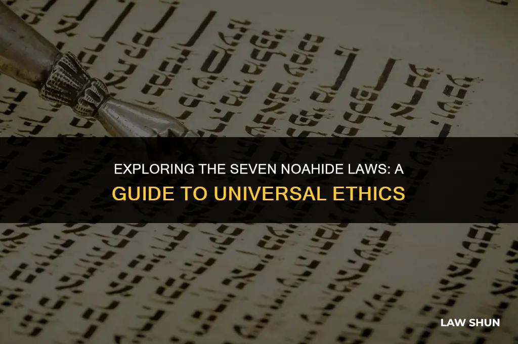 what are the 7 noahide laws