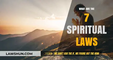 Unlocking the Universe: A Journey Through the Seven Spiritual Laws