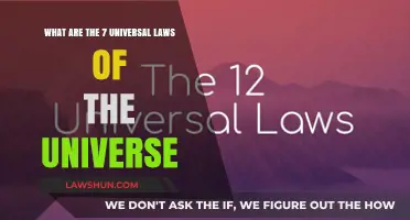 Unveiling the Universal Laws: 7 Cosmic Principles