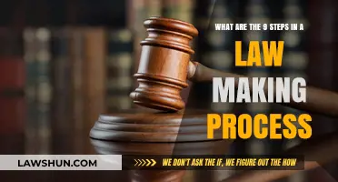 Understanding the Comprehensive 9-Step Lawmaking Process in Detail