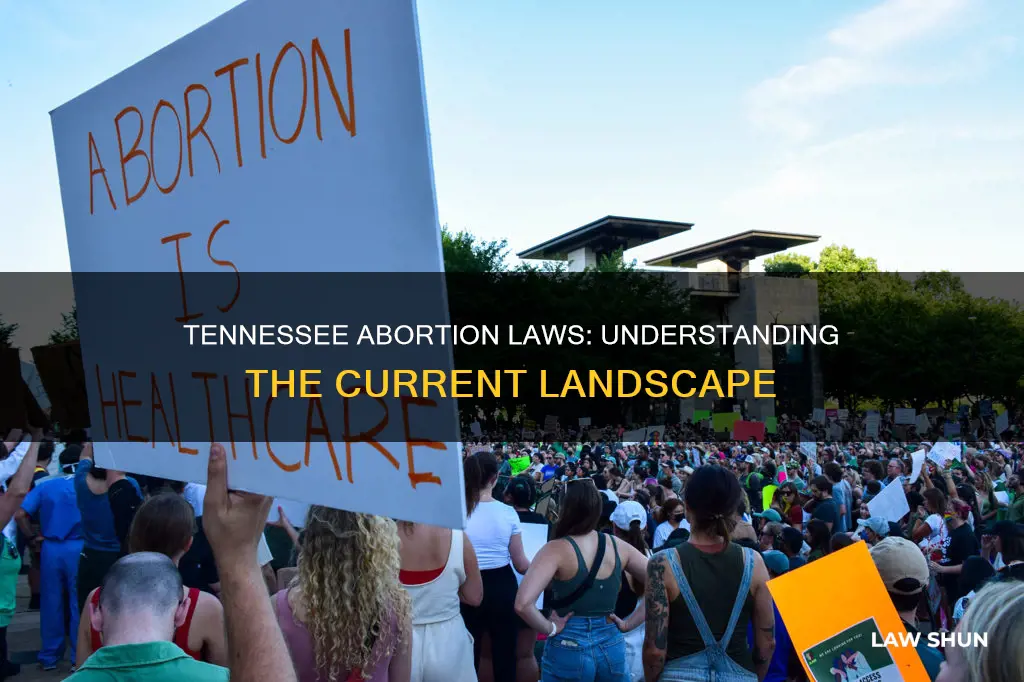 what are the abortion laws in tn