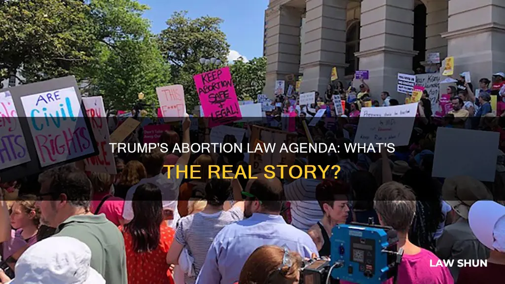 what are the abortion laws president trump is talking abour