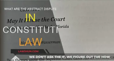 Abstract Disputes: Constitutional Law's Complex Conundrums