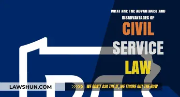 Civil Service Law: Pros, Cons, and Impact on Governance