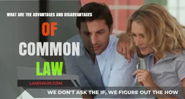 Common Law: Pros, Cons, and Complexities