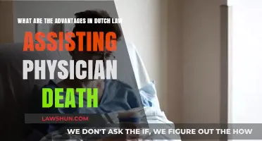 Dutch Law's Assisted Dying: Benefits, Ethics, and Legal Framework Explored