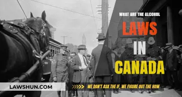 Alcohol Laws in Canada: What You Need to Know