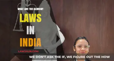 Alimony Laws in India: Understanding the Basics