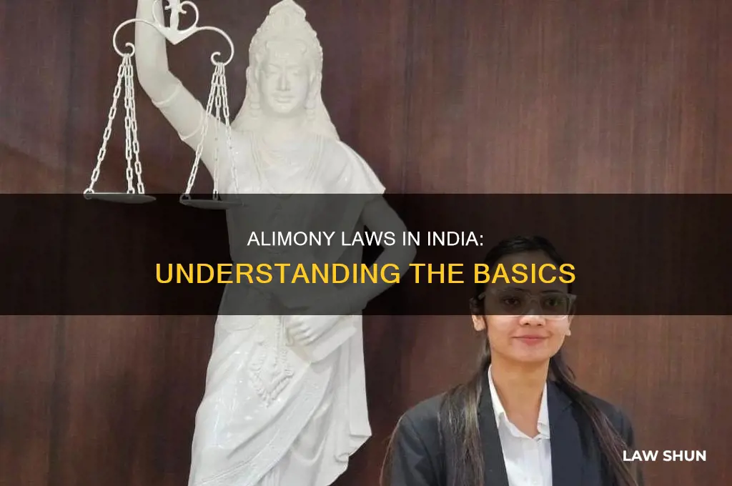 what are the alimony laws in india