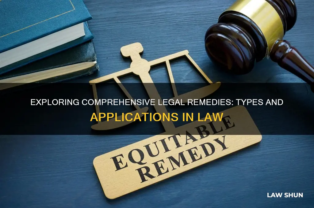 what are the all type of law remedy